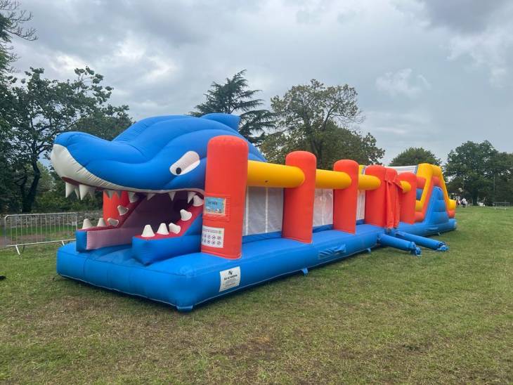 Structure gonflable requin